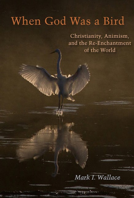 Book cover image for When God Was a Bird ISBN: 9780823281312
